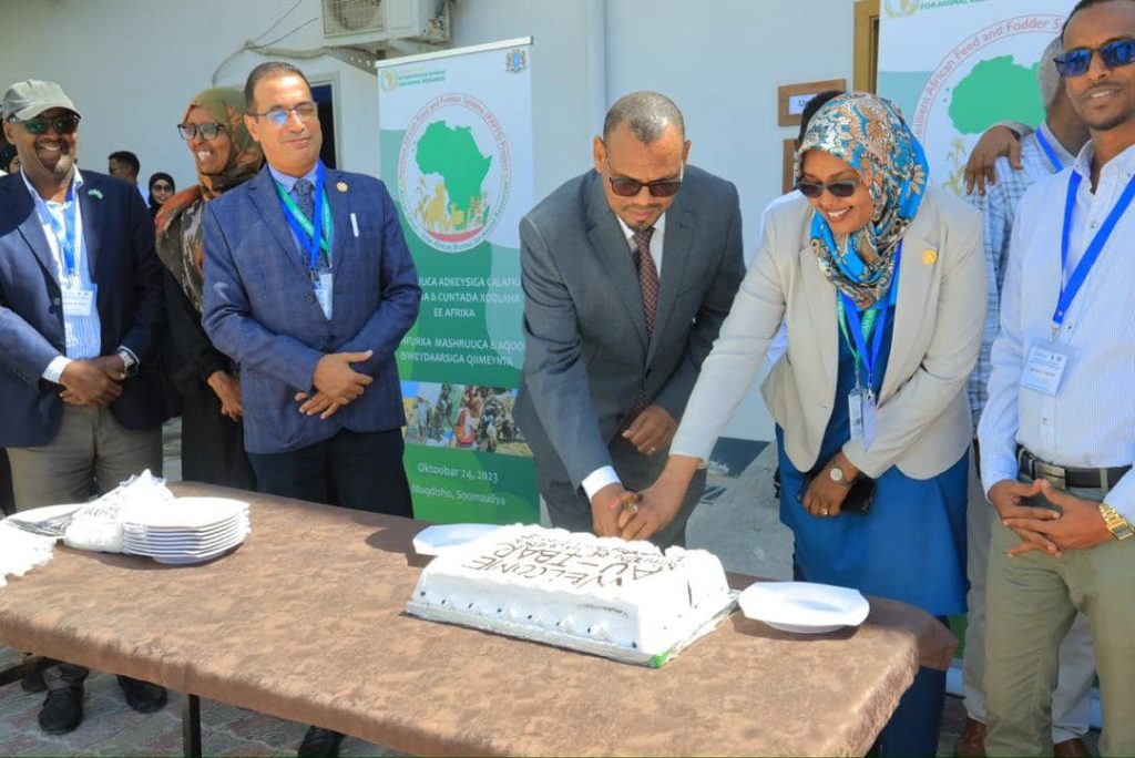 Wasiirka Wasaaradda Xanaanada Xoolaha Dhirta iyo Daaqa XFS Wasiir Mudane Hassan Hussein Mohamed (Eelay) ayaa maanta Magaalada Muqdisho ka daahfurey mashruuca adkaysiga calafka Xoolaha iyo cuntada Xoolaha ee Afrika oo daahfurtey Wasaaradda Xanaanada Xoolaha dhirta iyo Daaqa XFS.